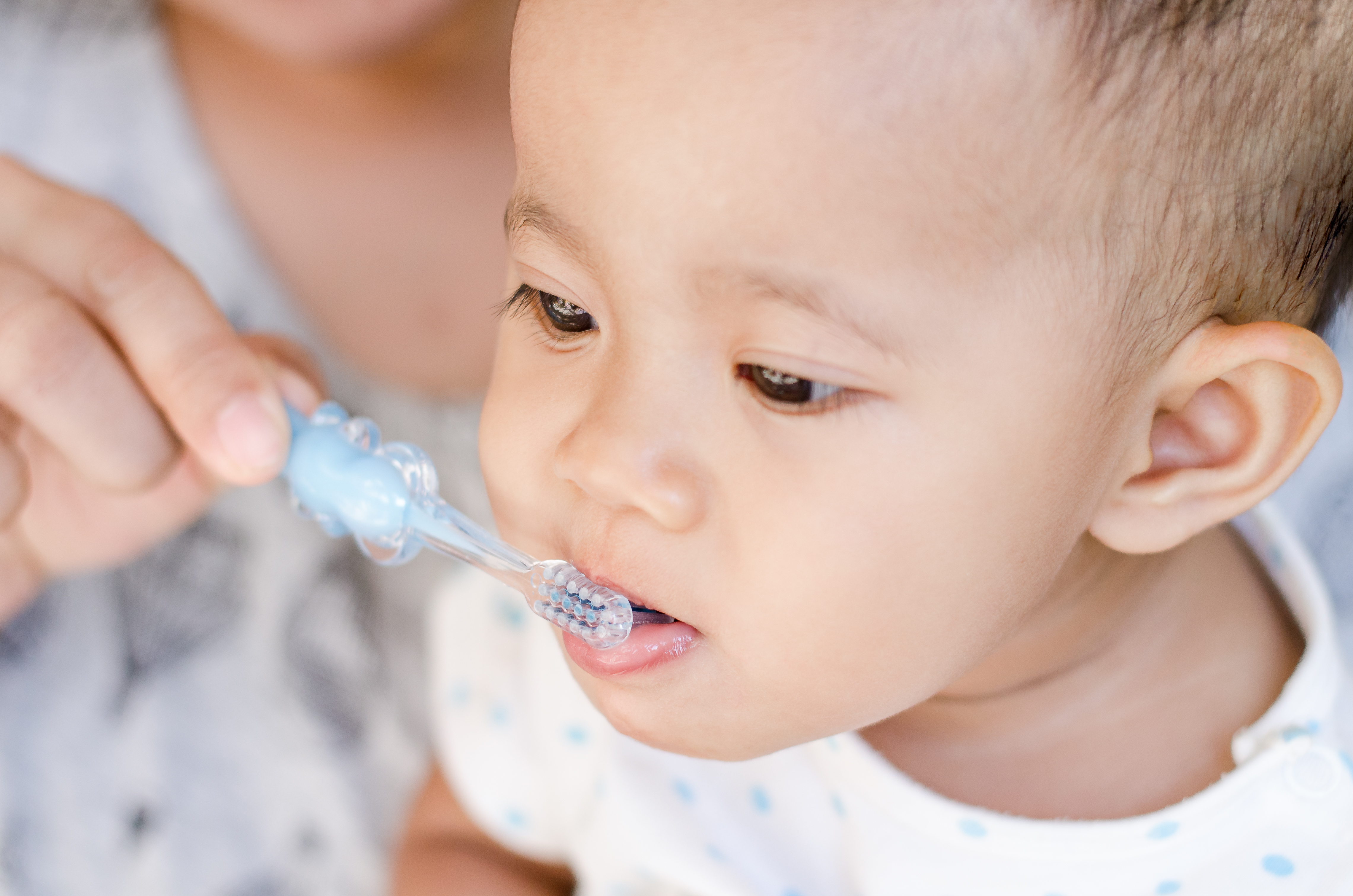 Picture of an adult hand holding a toothbrush for a baby (1-2 years old) while he brushes he chews on the toothbrush